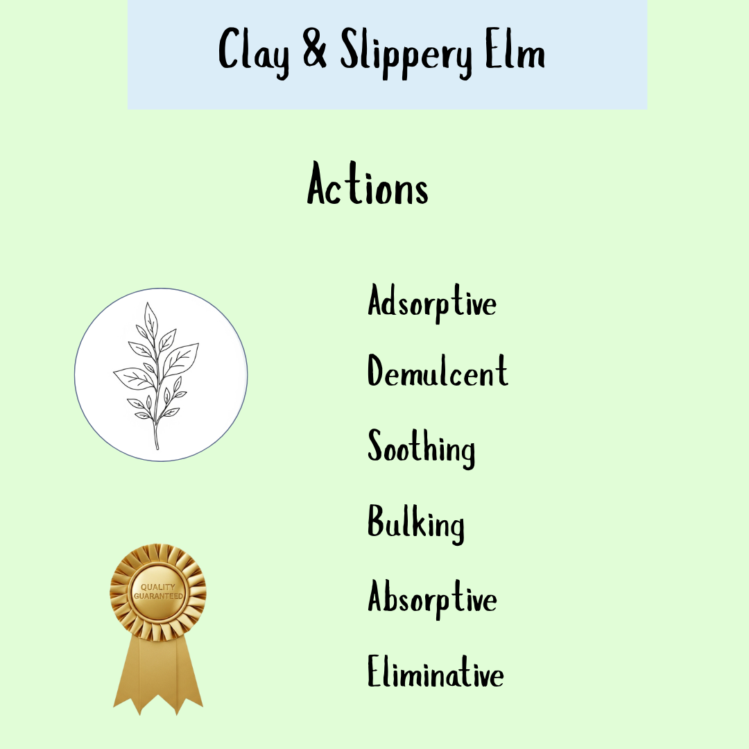 Clay & Slippery Elm Powder acts as a colon detox and gastrointestinal purifier, supporting heavy metal removal, with a leaf illustration and quality seal—all detailed on a light green background.
