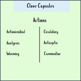 Chart of Clove – 120 capsules: antimicrobial, analgesic, warming, circulatory, antiseptic, carminative—perfect as an antioxidant supplement or for parasite cleanse.