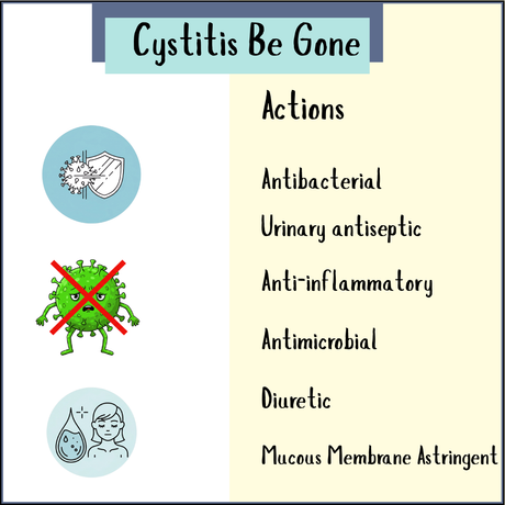 Infographic showing actions of Cystitis-Be-Gone 100ml Tincture, an antibacterial supplement for cystitis relief, with diuretic and anti-inflammatory effects to help combat urinary tract infections.