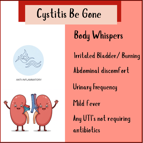 Cystitis-Be-Gone 100ml Tincture features two cartoon kidneys, an anti-inflammatory icon, cystitis relief tips, and UTI symptoms on a pink, red, and white graphic.