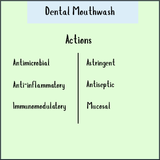 Chart listing benefits of Dental Mouthwash - 100 ml: antimicrobial, anti-inflammatory, immunomodulatory, astringent, antiseptic, and mucosal properties—showing its natural support for oral health.