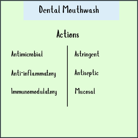 Chart listing benefits of Dental Mouthwash - 100 ml: antimicrobial, anti-inflammatory, immunomodulatory, astringent, antiseptic, and mucosal properties—showing its natural support for oral health.