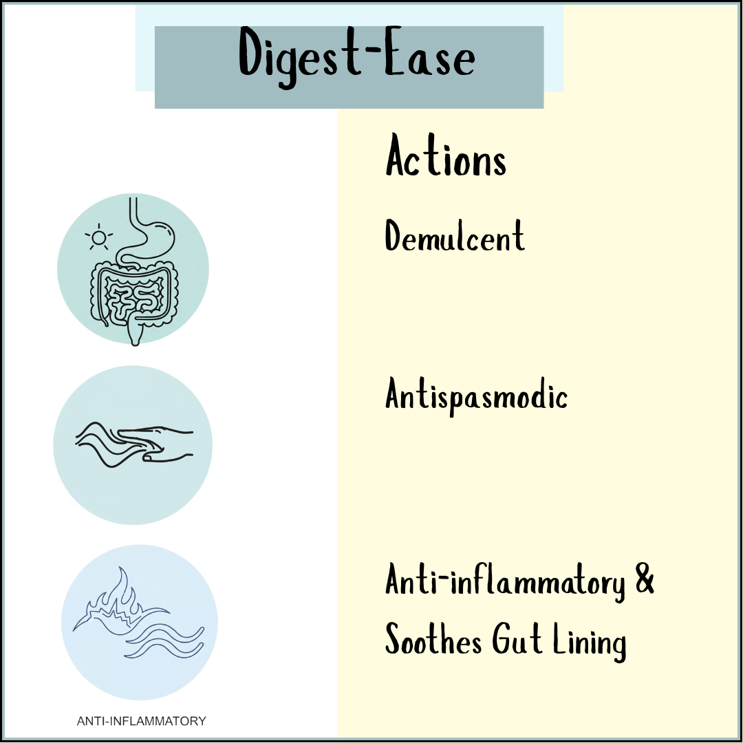 Three digestive system icons with text: Digest-Ease actions—demulcent, antispasmodic, anti-inflammatory. Ideal for digestive discomfort and heartburn relief, Digest-Ease Powder delivers targeted support.