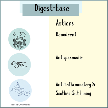 Three digestive system icons with text: Digest-Ease actions—demulcent, antispasmodic, anti-inflammatory. Ideal for digestive discomfort and heartburn relief, Digest-Ease Powder delivers targeted support.