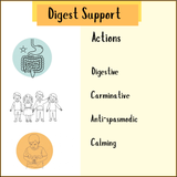 Digest support actions infographic