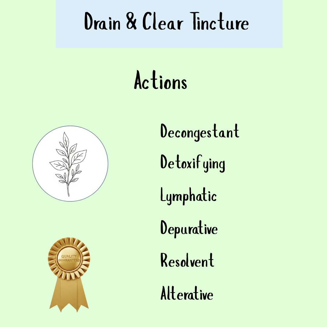 Drain & Clear Formula - 200ml supports swollen lymph nodes with detoxifying, lymphatic, and decongestant actions—ideal for gentle herbal cleansing and effective lymphatic system detox.