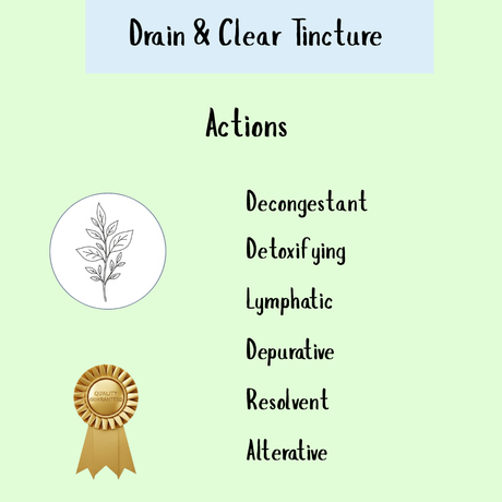 Drain & Clear Formula - 200ml supports swollen lymph nodes with detoxifying, lymphatic, and decongestant actions—ideal for gentle herbal cleansing and effective lymphatic system detox.