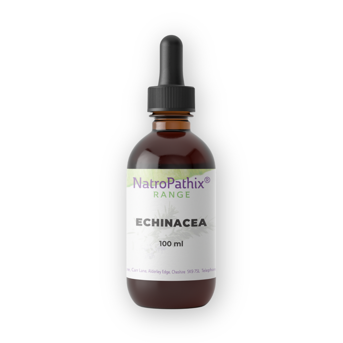 A brown glass dropper bottle labeled "Echinacea angustifolia - 100ml" on a white background, designed for immune system support.