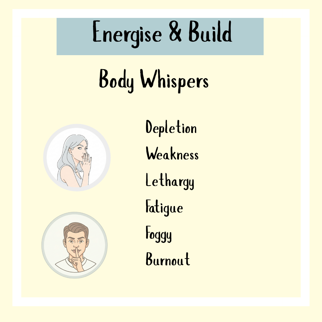 Energise & Build - 60 caps targets signs of depletion, fatigue, and burnout, supporting energy levels and healthy circulation to help restore vitality.