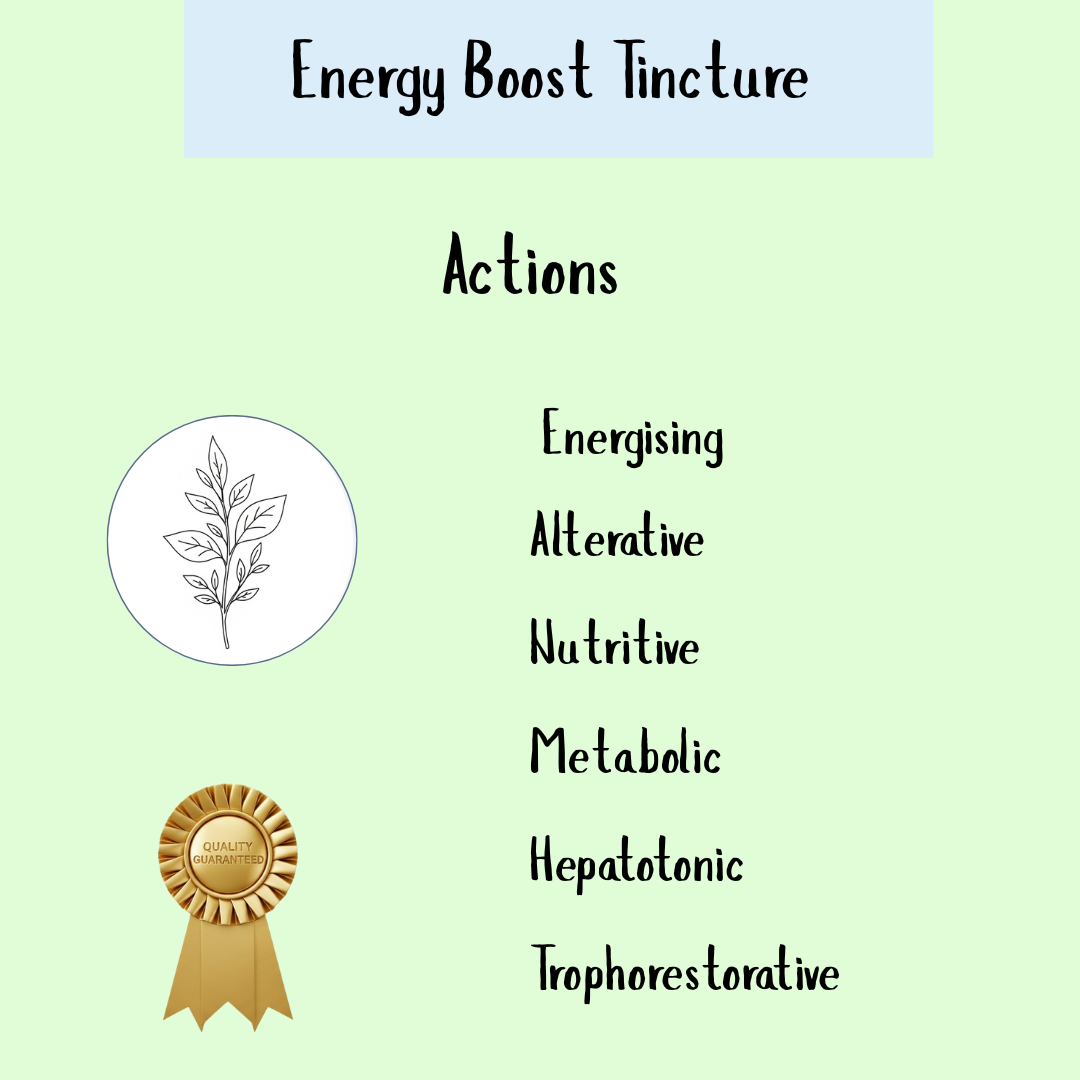 Energy Boost Tincture (100ml, 200ml & 300ml) highlights liver support, shown with a leaf sketch and quality ribbon on a light green background.