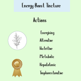 Energy Boost Tincture (100ml, 200ml & 300ml) highlights liver support, shown with a leaf sketch and quality ribbon on a light green background.