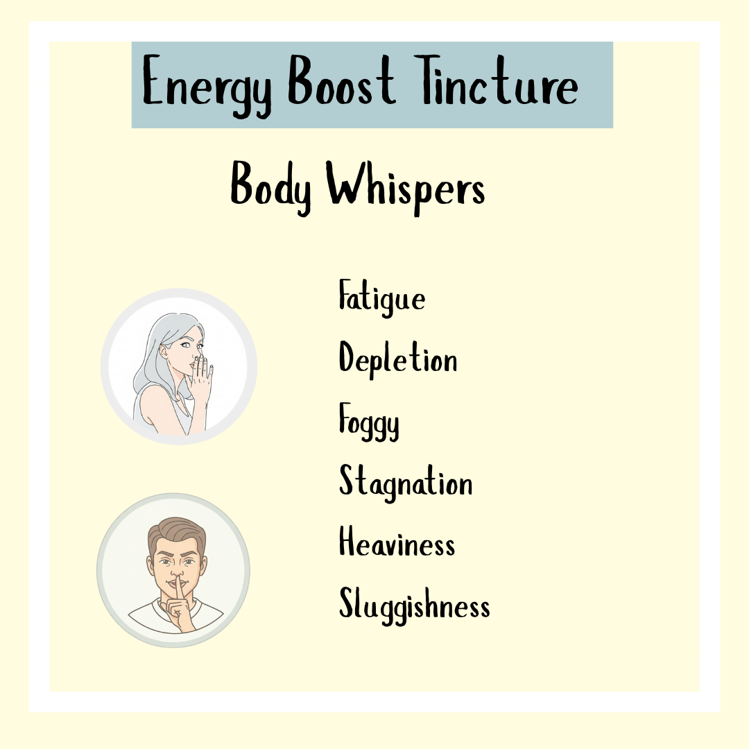 Energy Boost Tincture (100ml, 200ml, 300ml) supports energy and gentle liver health—ideal for fatigue, depletion, fogginess, stagnation, heaviness, and sluggishness.