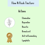 Flow & Flush Formula - 200ml: Elimination, detox, diuretic, soothing, anti-inflammatory & lymphatic actions—icons illustrate optimal support for lymphatic system and urinary health.