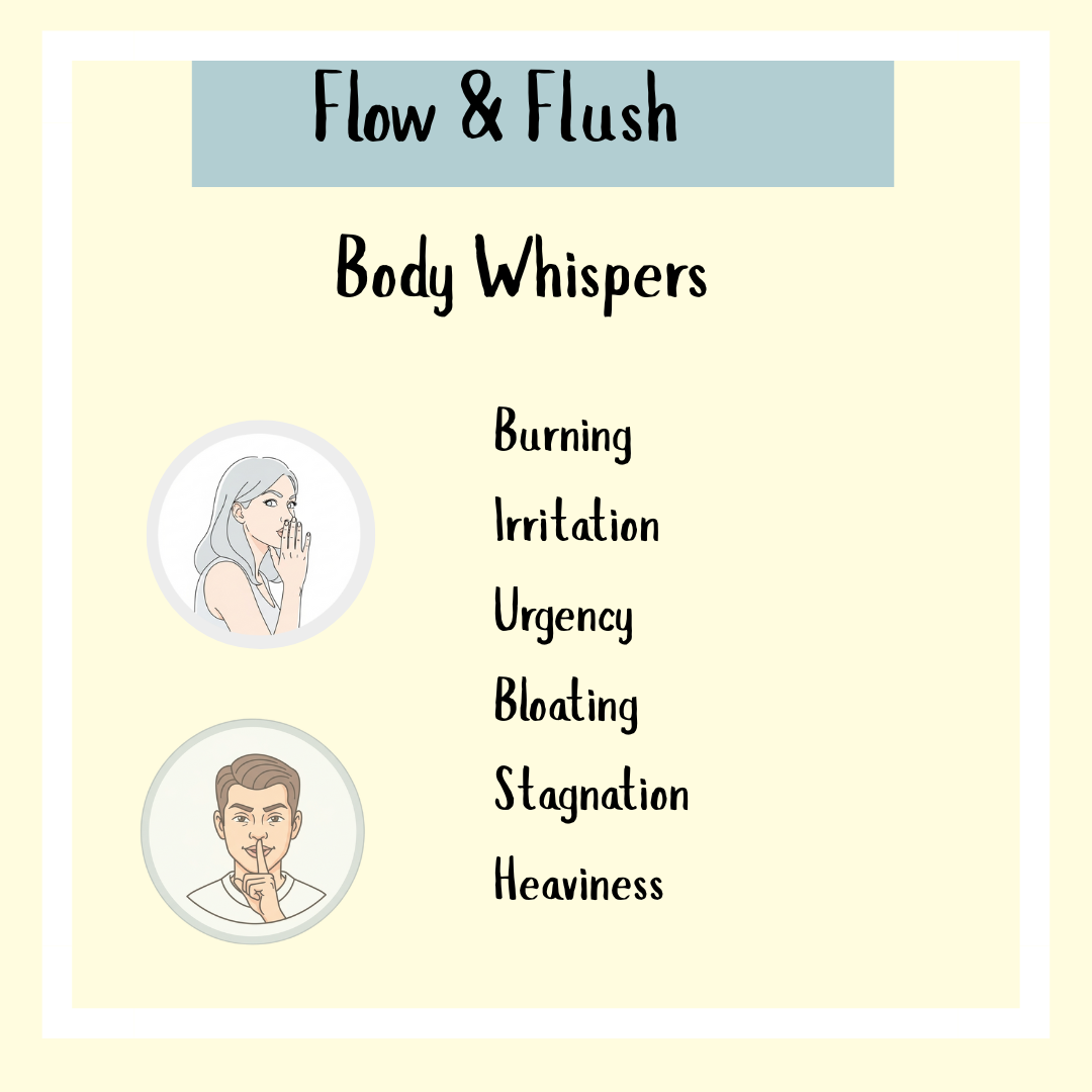 Flow & Flush Formula - 200ml may help with burning, irritation, urgency, bloating, stagnation, and heaviness—signs that suggest a kidney cleanse could support improved urinary health.