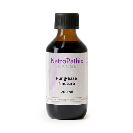 A bottle of Fung-Ease tincture - 200/300ml with a black cap, a herbal antifungal solution designed to help treat fungal nails and candida.