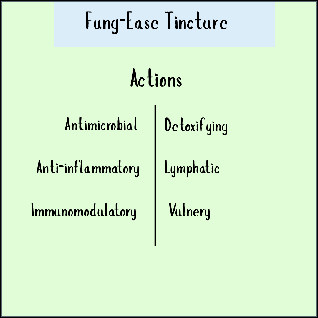 Chart titled "Fung-Ease tincture - 200/300ml" highlighting actions: antifungal, antimicrobial, anti-inflammatory, immunomodulatory, detoxifying, lymphatic, and vulnerary—ideal for Candida balance and fungal nail support.