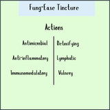 Chart titled "Fung-Ease tincture - 200/300ml" highlighting actions: antifungal, antimicrobial, anti-inflammatory, immunomodulatory, detoxifying, lymphatic, and vulnerary—ideal for Candida balance and fungal nail support.