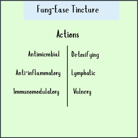 Chart titled "Fung-Ease tincture - 200/300ml" highlighting actions: antifungal, antimicrobial, anti-inflammatory, immunomodulatory, detoxifying, lymphatic, and vulnerary—ideal for Candida balance and fungal nail support.