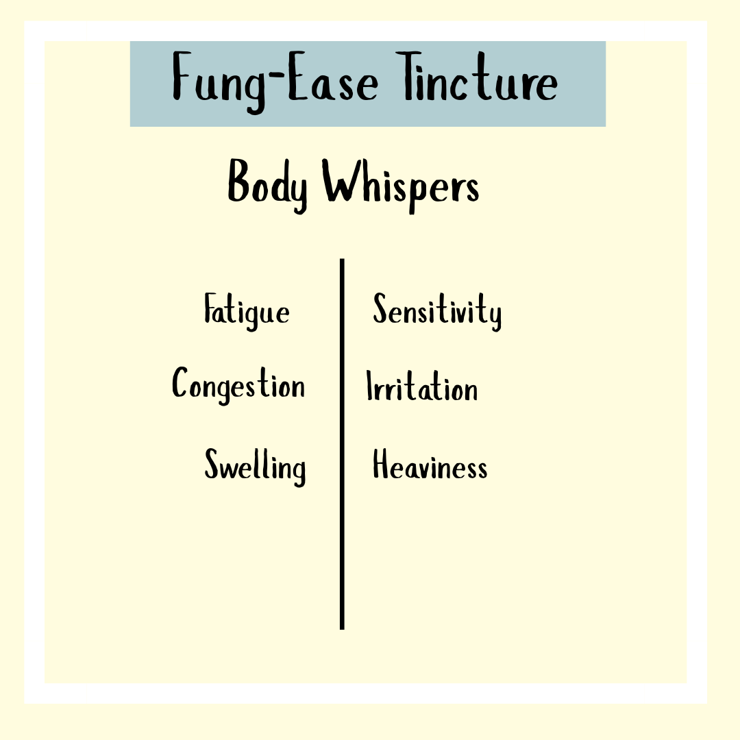 Text graphic titled "Fung-Ease tincture - 200/300ml" lists symptoms: fatigue, congestion, swelling, sensitivity, irritation, heaviness—formulated for antifungal support and relief from issues such as Candida or fungal nails.