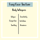 Text graphic titled "Fung-Ease tincture - 200/300ml" lists symptoms: fatigue, congestion, swelling, sensitivity, irritation, heaviness—formulated for antifungal support and relief from issues such as Candida or fungal nails.