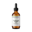 Amber dropper bottle labeled "Anti-Parasitic Tincture - 100ml"—supports parasite management and targets worm infections. Ideal for dealing with unwanted guests.
