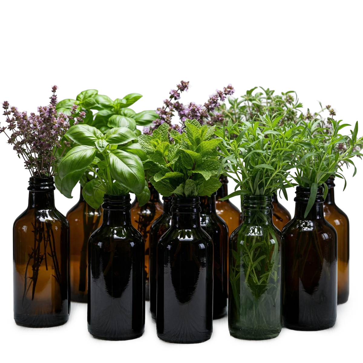 Rows of brown glass bottles filled with fresh green herbs and small purple flowers display "Just for You - Personalised Herbal Product," bespoke tinctures crafted by an experienced naturopath and herbalist.