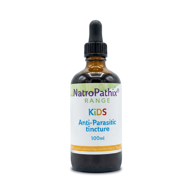 A brown glass dropper bottle labeled "Anti-Parasitic Tincture For Kids" sits on a white background, offering a natural herbal remedy specifically formulated to help eliminate parasites in children.