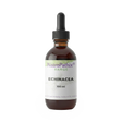 Brown glass dropper bottle labeled "Echinacea angustifolia - 100ml" on a white background, featuring Echinacea angustifolia, which is recognized for supporting the immune system.