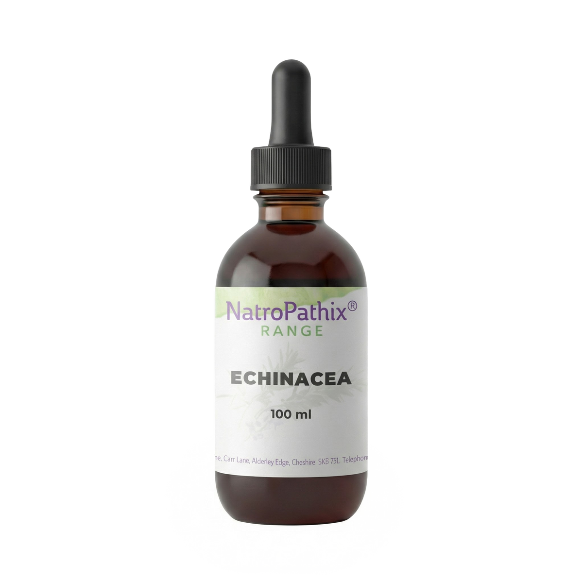 Brown glass dropper bottle labeled "Echinacea angustifolia - 100ml" on a white background, featuring Echinacea angustifolia, which is recognized for supporting the immune system.