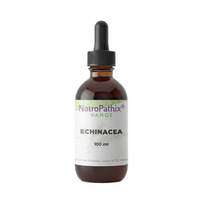 Brown glass dropper bottle labeled "Echinacea angustifolia - 100ml" on a white background, featuring Echinacea angustifolia, which is recognized for supporting the immune system.