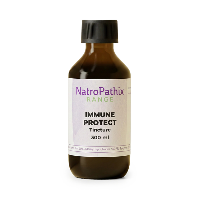 A brown bottle labeled "Immune Protect Tincture - 200/300ml" with a black screw cap, containing echinacea and elderberry for immune support.