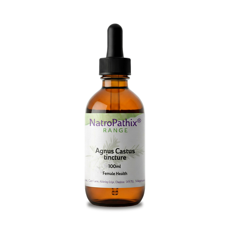Amber glass dropper bottle of Agnus Castus tincture - 100ml by NatroPathix, designed to support female hormone balance and offer natural PMS relief.