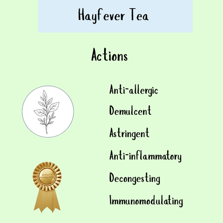 Hayfever Tea - 100gms provides gentle immune support and hayfever relief with its anti-allergic, demulcent, astringent, anti-inflammatory, decongesting, and immunomodulating herbal properties for seasonal wellness.