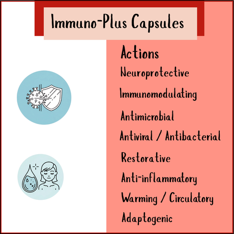 Infographic showing actions of Immune Plus - 100 Capsules, including immune support, neuroprotective effects, antimicrobial benefits, and anti-inflammatory properties.