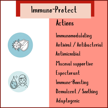 Infographic highlighting Immune Protect Tincture (200/300ml) with antiviral, expectorant, and adaptogenic benefits; features echinacea and elderberry, plus shield and droplet icons.
