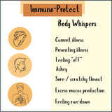 Infographic titled "Immune Protect Tincture - 200/300ml" lists symptoms—illness, ache, sore throat, mucus, run-down feeling—and natural immune tips like echinacea or elderberry to help you feel your best.