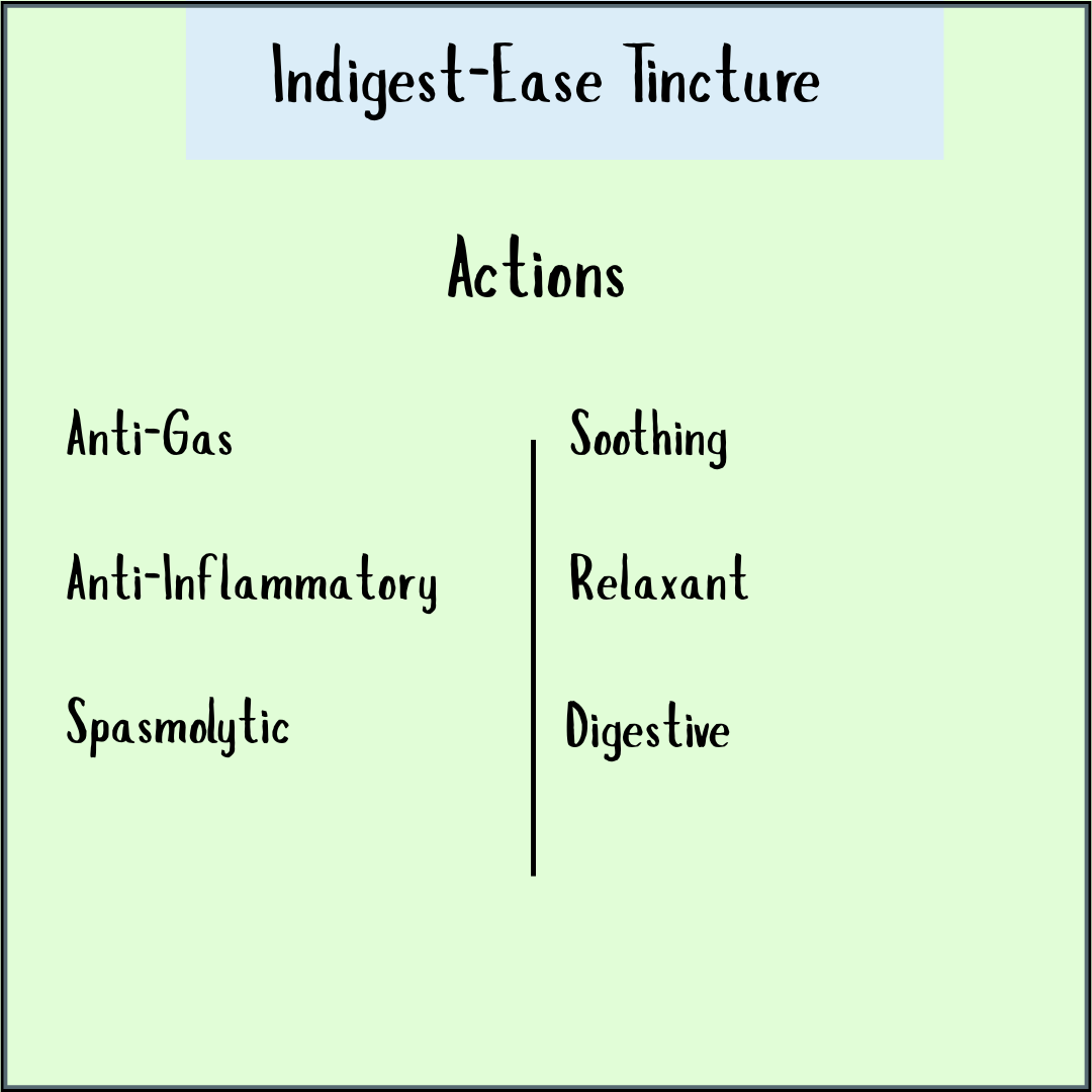 Indigest-Ease Tincture - 100 ml provides anti-gas, anti-inflammatory, spasmolytic, soothing, relaxant, and digestive support to help naturally relieve acidity.