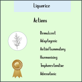 Green infographic titled "Echinacea angustifolia - 100ml" showcases its immune system support and anti-inflammatory benefits, featuring a leaf illustration and a gold quality badge.