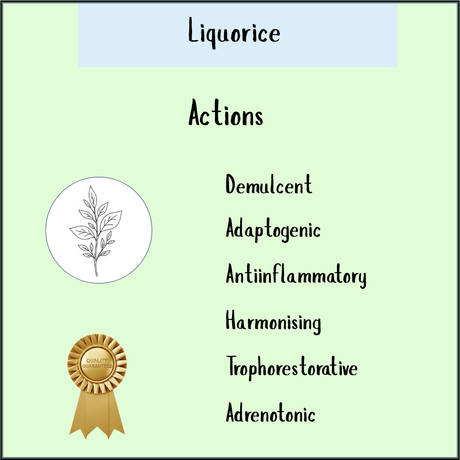 Natropathix Liquorice Root herbal tincture infographic — green design with leaf illustration and gold quality badge