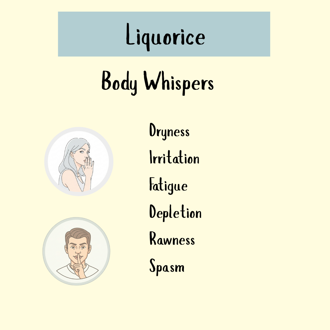 List of Echinacea angustifolia’s body whispers: dryness, irritation, fatigue, depletion, rawness, spasm; two people shushing. Known for supporting the immune system and its anti-inflammatory properties.