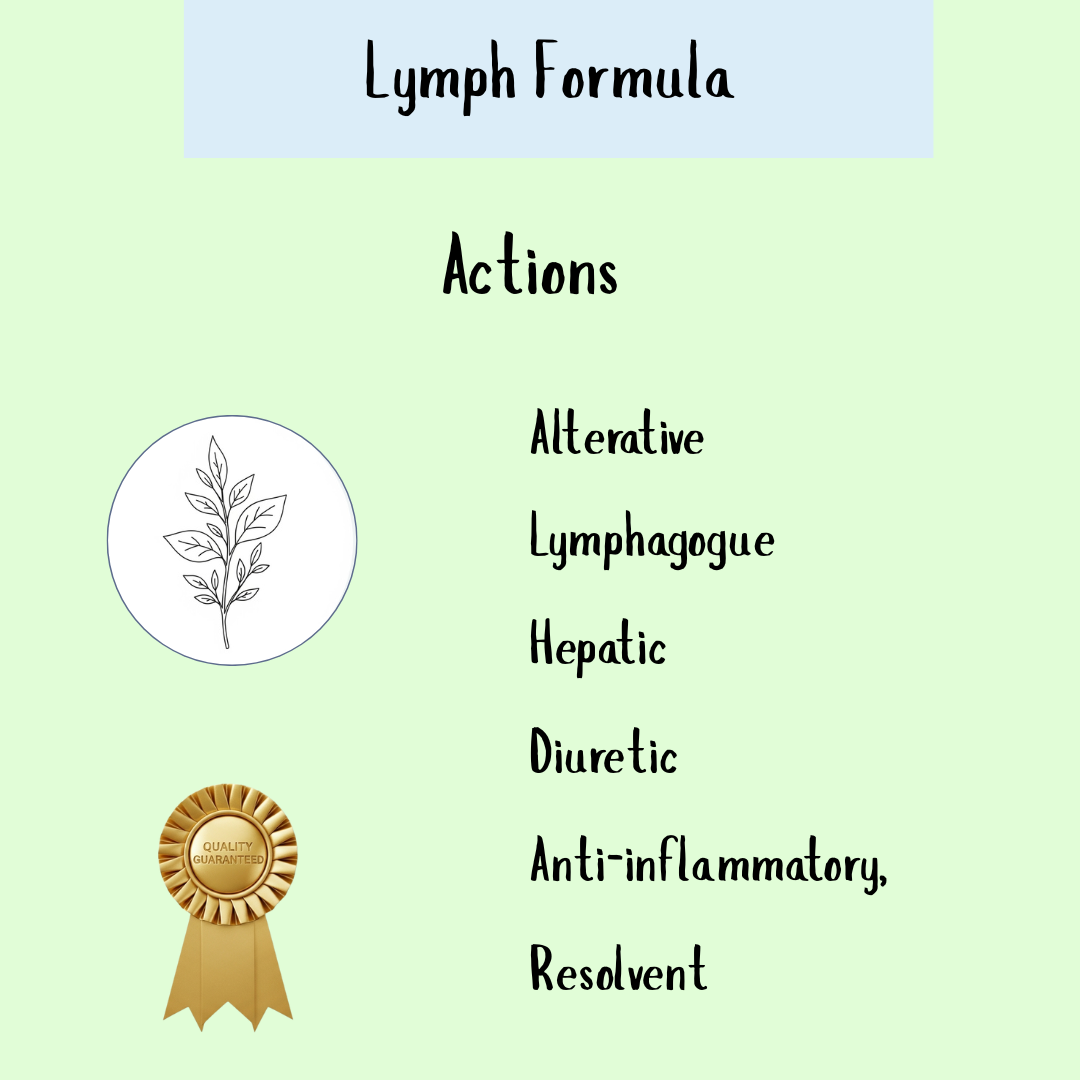 Lymph Formula (200ml & 300ml): Features alternative, lymphagogue, hepatic, diuretic, anti-inflammatory, and resolvent actions to support detoxification and a healthy lymphatic system.