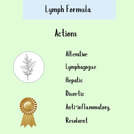 Lymph Formula (200ml & 300ml): Features alternative, lymphagogue, hepatic, diuretic, anti-inflammatory, and resolvent actions to support detoxification and a healthy lymphatic system.