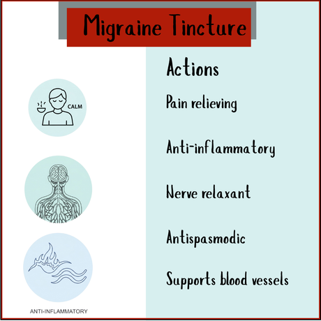 Migraine Tincture - 100 ml: Icons show calmness, soothing nerves, migraine relief, analgesic properties, and anti-inflammatory effects from medicinal herbs.
