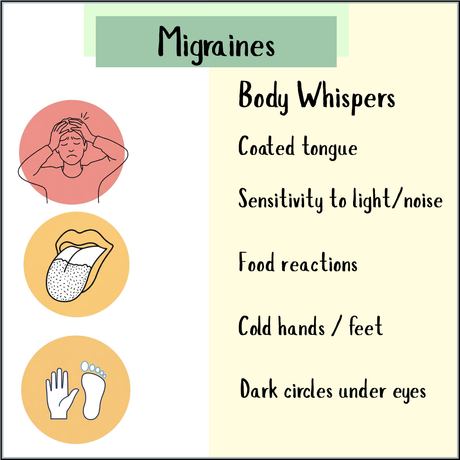 Three icons—person holding head, coated tongue, cold hands/feet—illustrate migraine symptoms beside suggestions for relief with Migraine Tincture - 100 ml, featuring analgesic ingredients and medicinal herbs.