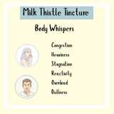 Milk Thistle Tincture: Relieve congestion, heaviness, stagnation, and overload. Supports gentle liver detox and is a trusted remedy for hangovers.