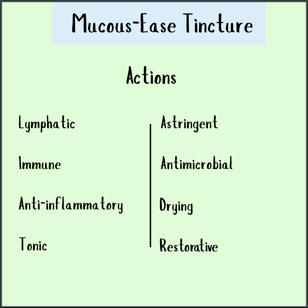 Chart titled "Mucous-Ease Tincture - 200/300ml" highlights lymphatic, immune, astringent, and antimicrobial actions to support mucous relief and clear airways using this herbal tincture.