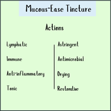 Chart titled "Mucous-Ease Tincture - 200/300ml" highlights lymphatic, immune, astringent, and antimicrobial actions to support mucous relief and clear airways using this herbal tincture.