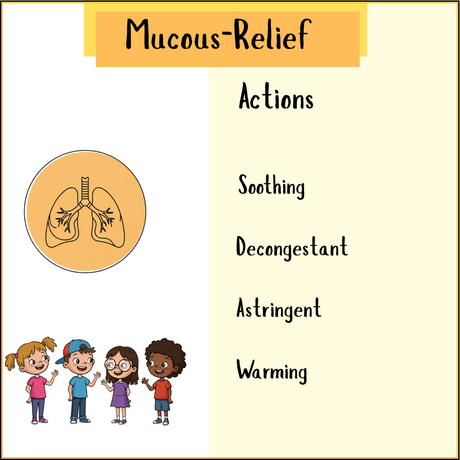 Kids Mucous Relief tincture benefits illustration
