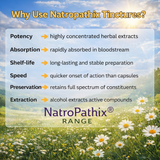 Benefits of NatroPathix tinctures infographic
