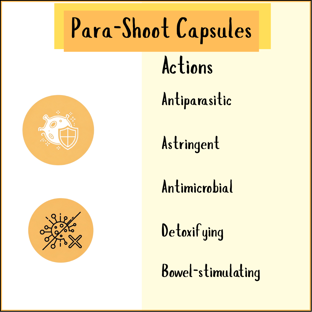 Infographic for Para-shoot capsules—herbal supplement with antiparasitic, astringent, antimicrobial, detoxifying, and bowel-stimulating actions; ideal for parasite or candida cleanse routines.